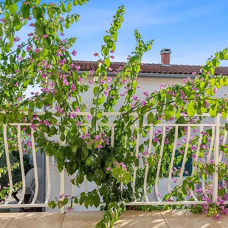 Apartamento Petrina Sveti Filip i Jakov