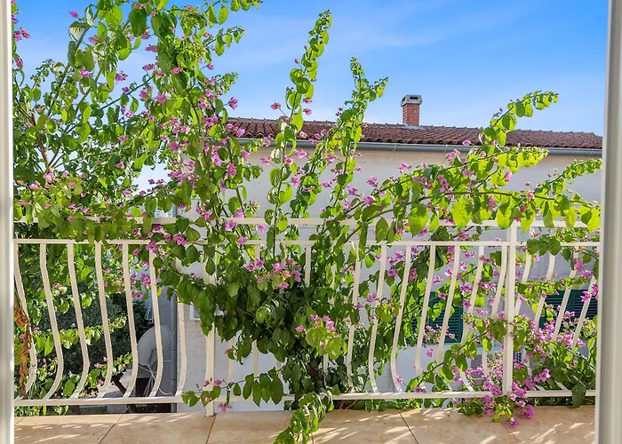Appartement Petrina Sveti Filip i Jakov